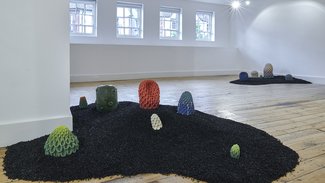 Installation View: 'Luke Perkins: The Things That Grow In Between' at the Broadway Gallery, April 2024