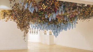 Installation view Louise Rebecca Law, ‘Still Life' at Broadway Gallery, 2016.