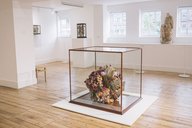 Installation view Louise Rebecca Law, ‘Still Life' at Broadway Gallery, 2016.