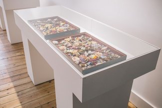 Installation view Louise Rebecca Law, ‘Still Life' at Broadway Gallery, 2016.