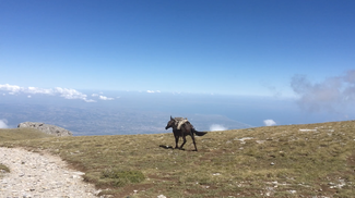 Bettina Furnée, Out Of Our Earth, 37 mins. multi-screen film installation, still (2025)
