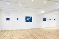 Installation view Magdalena Gluszak-Holeksa, ‘A Mountain, Too, Has Its Thought’s' at Broadway Gallery, 2022.