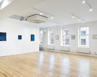 Installation view Magdalena Gluszak-Holeksa, ‘A Mountain, Too, Has Its Thought’s' at Broadway Gallery, 2022.